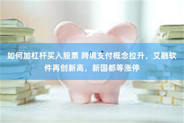 如何加杠杆买入股票 跨境支付概念拉升，艾融软件再创新高，新国都等涨停