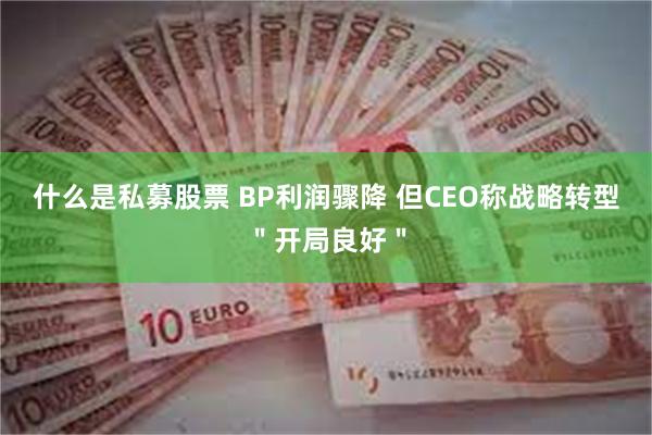 什么是私募股票 BP利润骤降 但CEO称战略转型＂开局良好＂