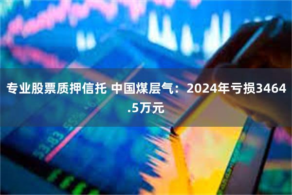 专业股票质押信托 中国煤层气：2024年亏损3464.5万元