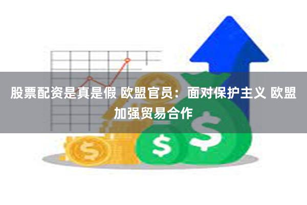 股票配资是真是假 欧盟官员：面对保护主义 欧盟加强贸易合作