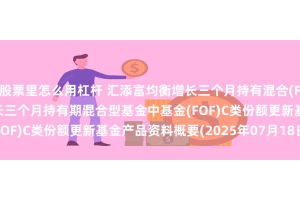 股票里怎么用杠杆 汇添富均衡增长三个月持有混合(FOF)C: 汇添富均衡增长三个月持有期混合型基金中基金(FOF)C类份额更新基金产品资料概要(2025年07月18日更新)