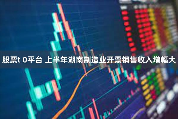 股票t 0平台 上半年湖南制造业开票销售收入增幅大