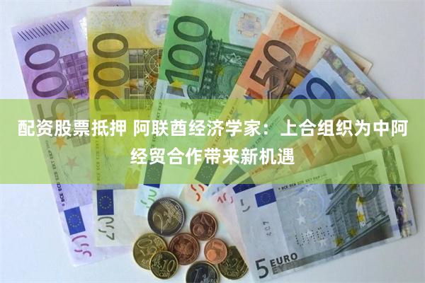 配资股票抵押 阿联酋经济学家：上合组织为中阿经贸合作带来新机遇