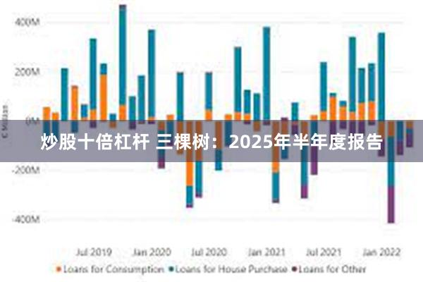 炒股十倍杠杆 三棵树：2025年半年度报告