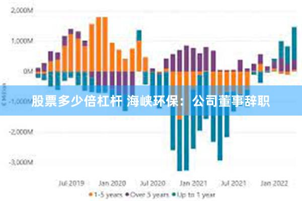 股票多少倍杠杆 海峡环保：公司董事辞职