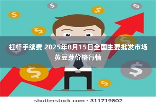杠杆手续费 2025年8月15日全国主要批发市场黄豆芽价格行情