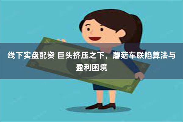 线下实盘配资 巨头挤压之下，蘑菇车联陷算法与盈利困境